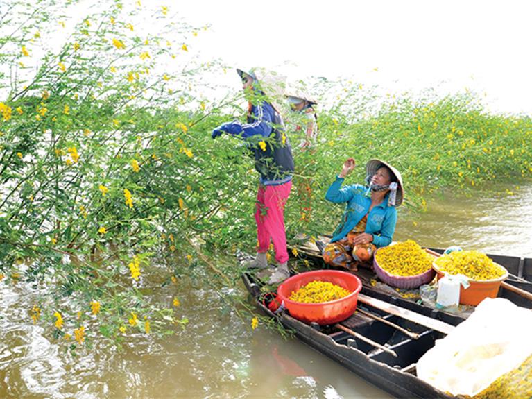 The Beauty Of The Western People In Vietnam