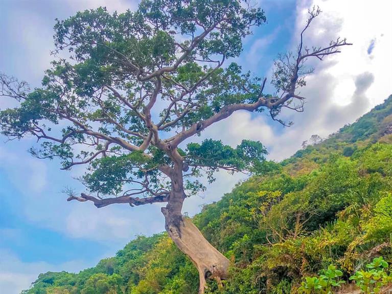 NAM DU 3 DAYS 2 NIGHT COMBO