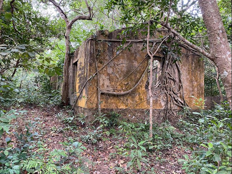 Con Dao Tour - SO RAY PLANTATION