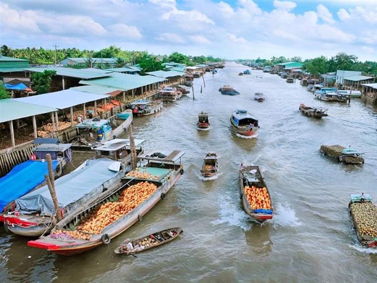 MOCAY MARKET- COCONUT MARKET