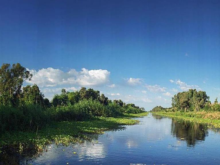 05 Unique Towns In the Mekong Delta