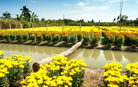 Ba Bo Flower Village