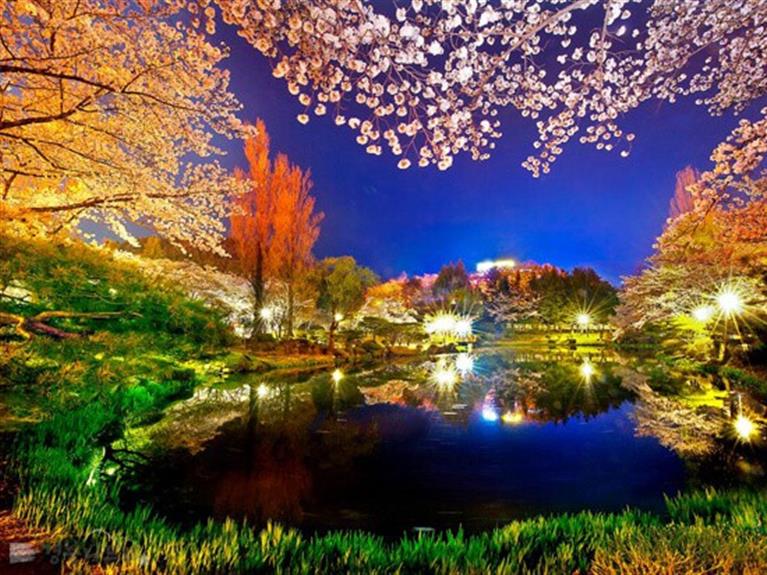 10 Địa Điểm Ngắm Cảnh Đêm Đẹp Nhất Ở Xứ Sơ Kim Chi