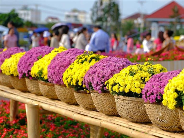 FESTIVAL HOA - KIỂNG 2026 - LÀNG HOA SA ĐÉC