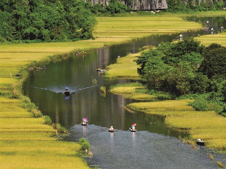 HOA LU - TAM COC