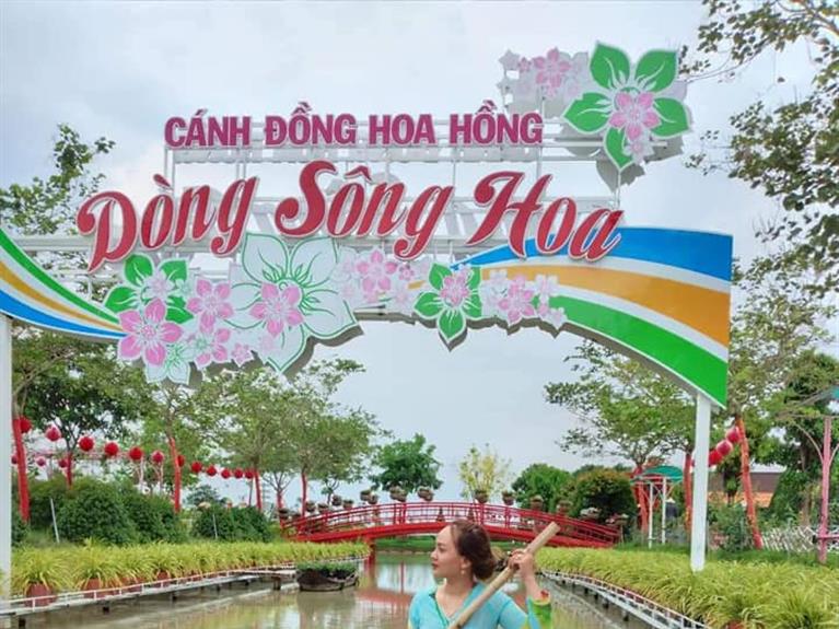 KHU DU LỊCH CÁNH ĐỒNG HOA HỒNG (SA ĐÉC)