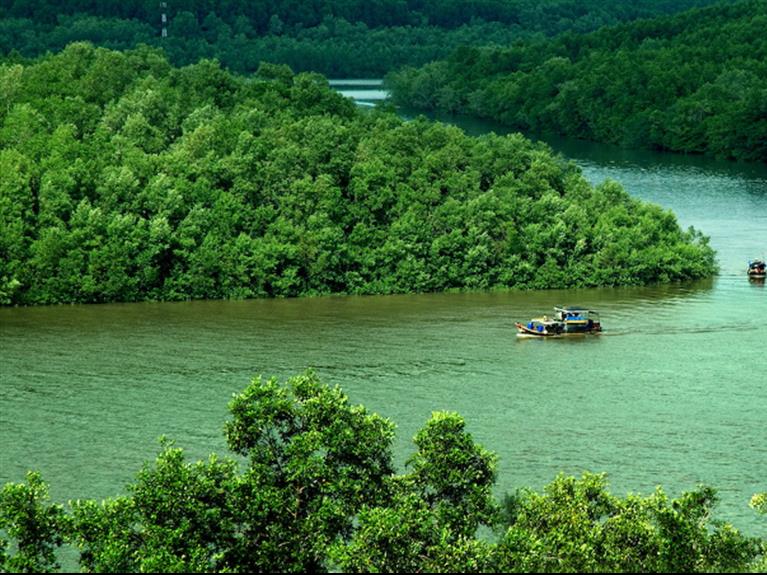 TOUR CẦN GIỜ 1 NGÀY - KDL SINH THÁI VÀM SÁT (ÁP DỤNG TỪ THÁNG 11 - THÁNG 3)