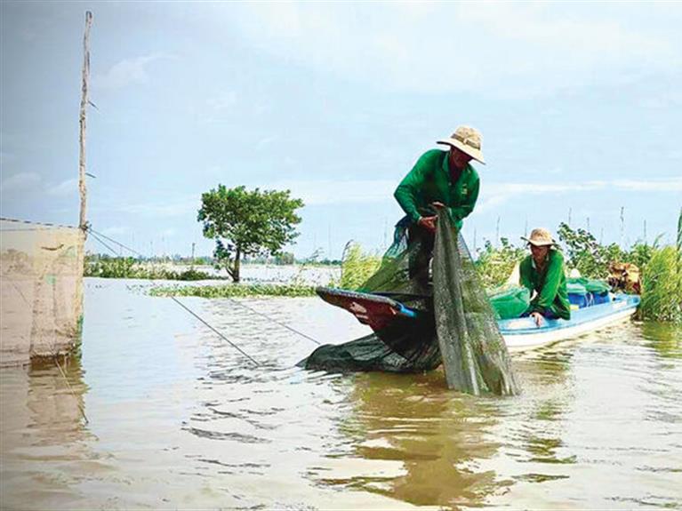 CHƯƠNG TRÌNH TOUR MÙA NƯỚC NỔI 2025: CẦN THƠ – AN GIANG - TRẢI NGHIỆM MÙA NƯỚC NỔI MIỀN TÂY