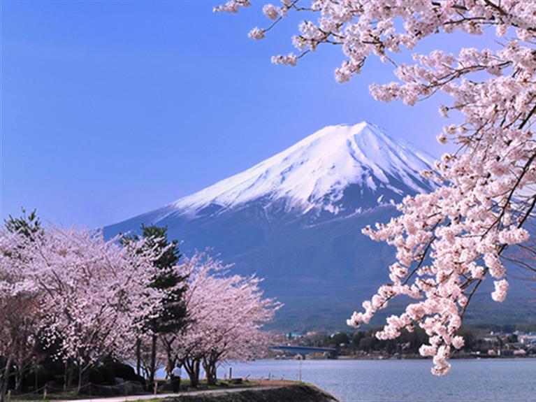 TOKYO - FUJI - YAMANASHI - LÀNG SAMURAI
