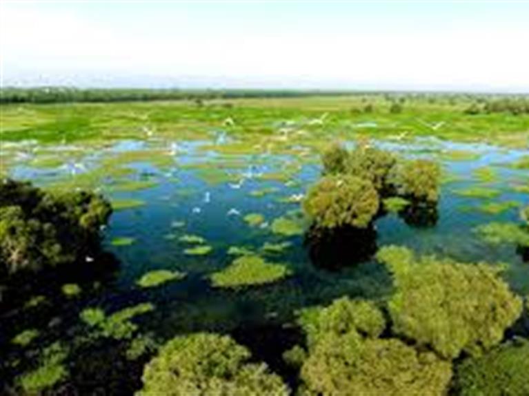 DONG THAP - THE BEAUTIFUL WETLAND PROVINCE IN MEKONG DELTA