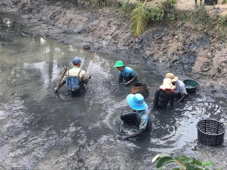 NÉT VĂN HÓA CỦA NGƯỜI DÂN CÀ MAU "TÁT ĐÌA BẮT CÁ"