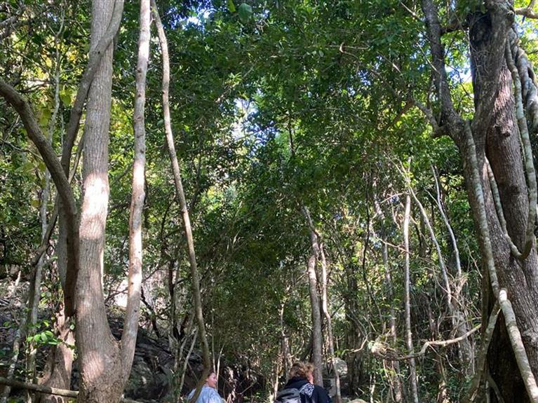 Tour Côn Đảo - TREKKING NÚI CHÚA 