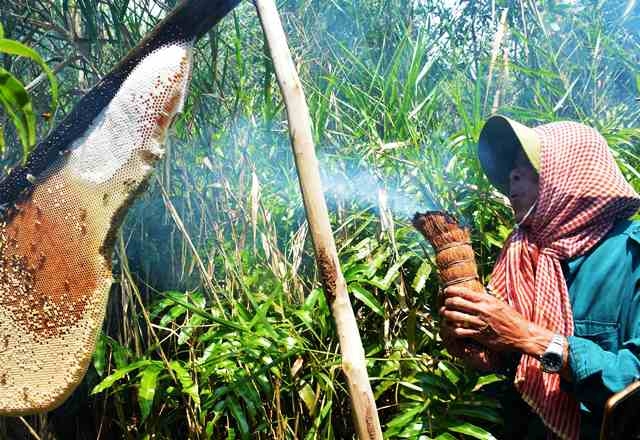 DI SẢN VĂN HÓA PHI VẬT THỂ QUỐC GIA "NGHỀ GÁC KÈO ONG"